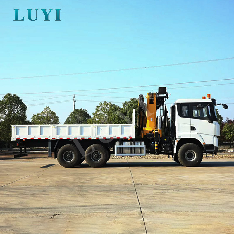 Caminhão do guindaste do crescimento da junta de direção de 4 eixos Shacman 25 toneladas de certificados de construção do CE